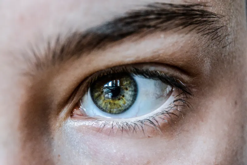 Augen