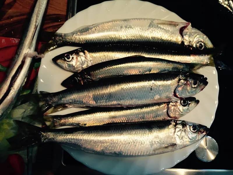 Hering