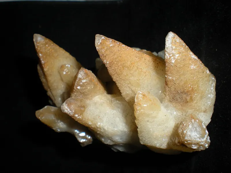 Nierensteine
