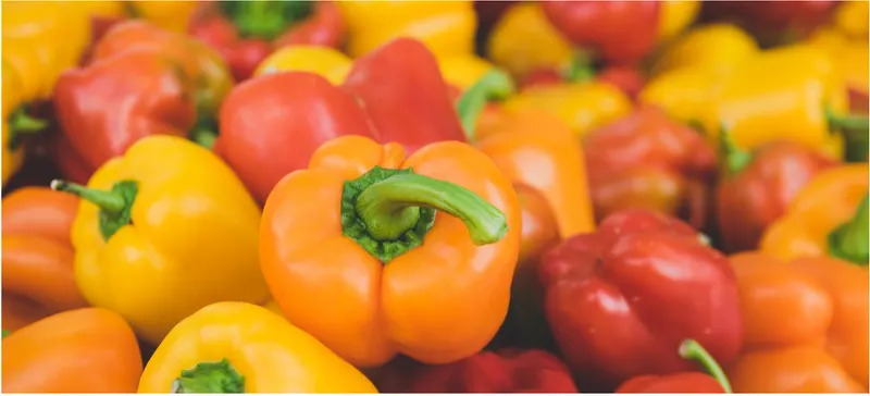 Paprika